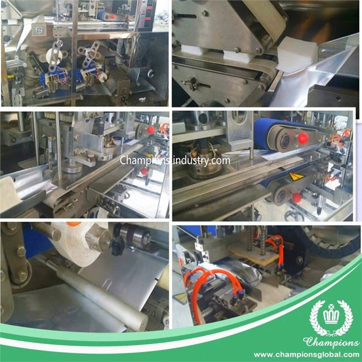 Wet Tissue Paper Machine